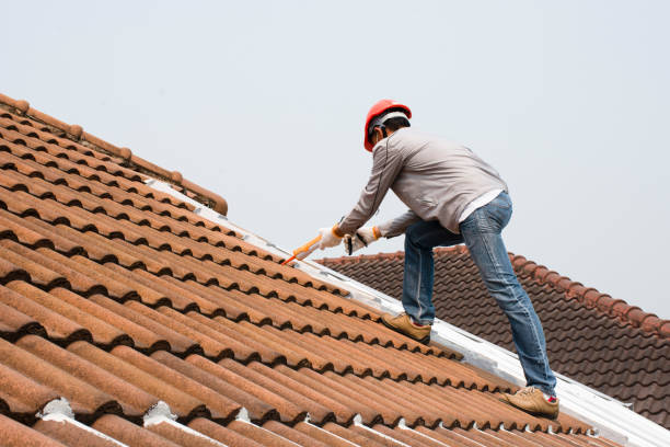 Best Rubber Roofing (EPDM, TPO)  in Leilani Estates, HI
